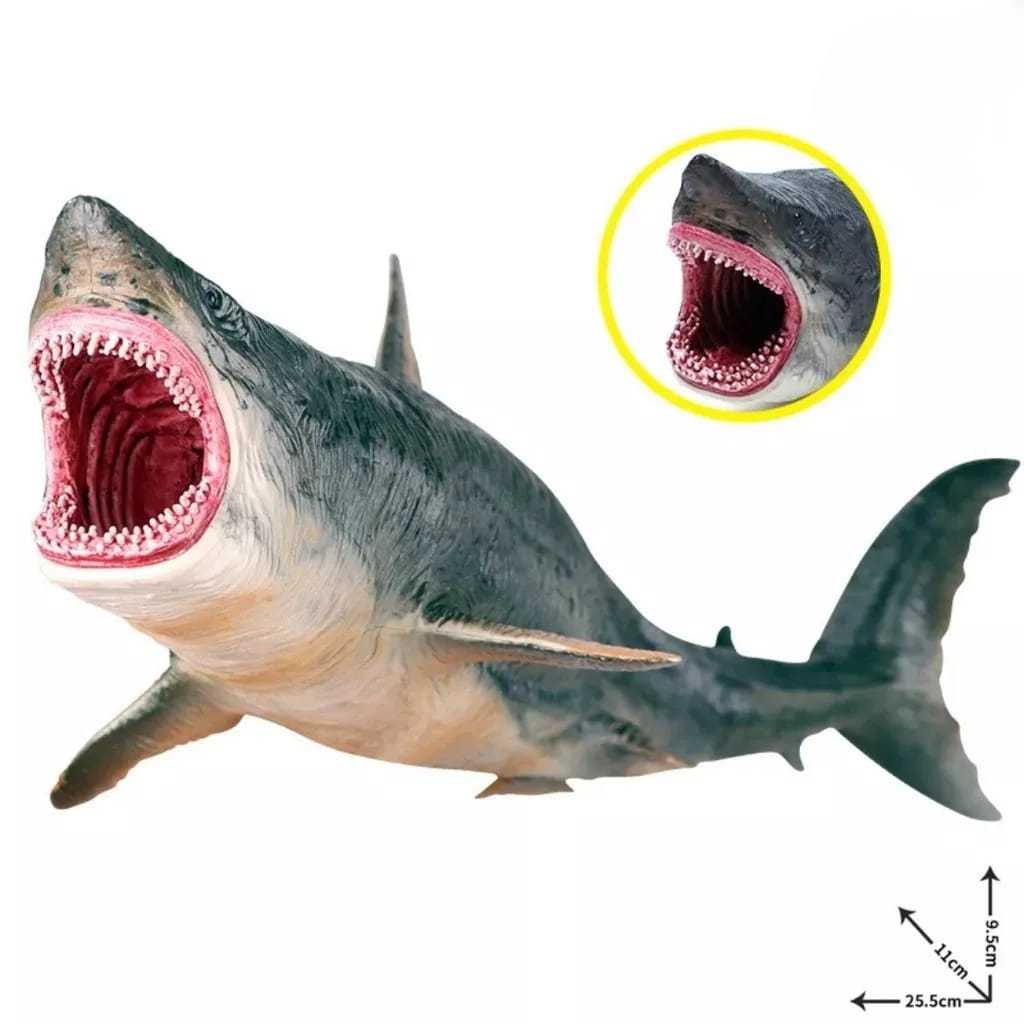 Mainan Hiu Anak Edukasi Figure Hiu Megalodon | Mainan Anak | Hadiah Anak | Figure Hiu | Megalodon | 