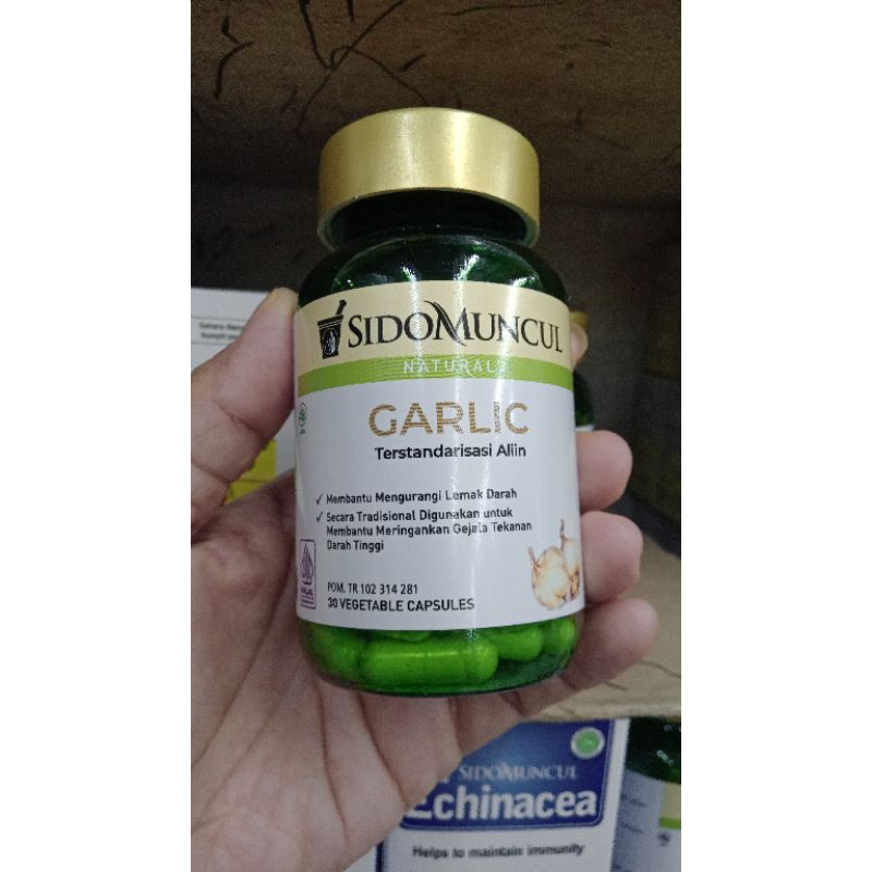 Garlic sidomuncul