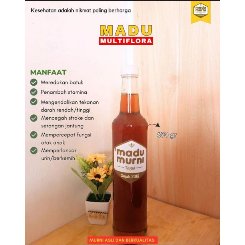 

madu multiflora madu murni madu asli