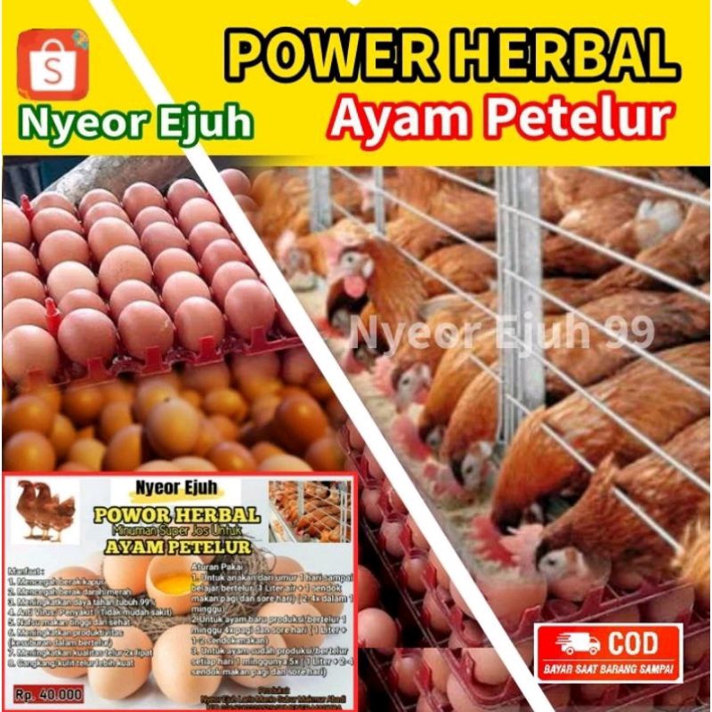 VITAMIN PETELUR PAKET 5+1 POWER HERBAL AYAM PETELUR, VITAMIN PETELUR NYETOR EJUH, NYEOR EJUH, AYAM P