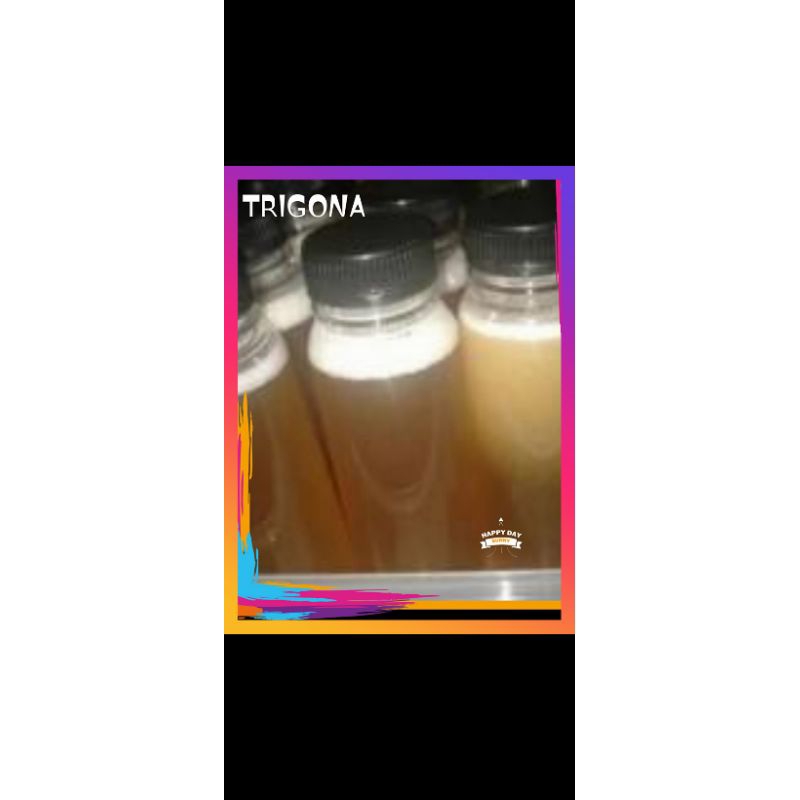

madu trigona/klanceng/kelulut ukuran 100ml