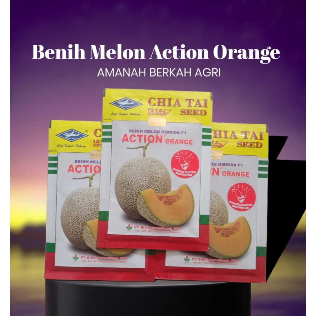 Benih Melon Hibrida F1 ACTION ORANGE 100% ORIGINAL