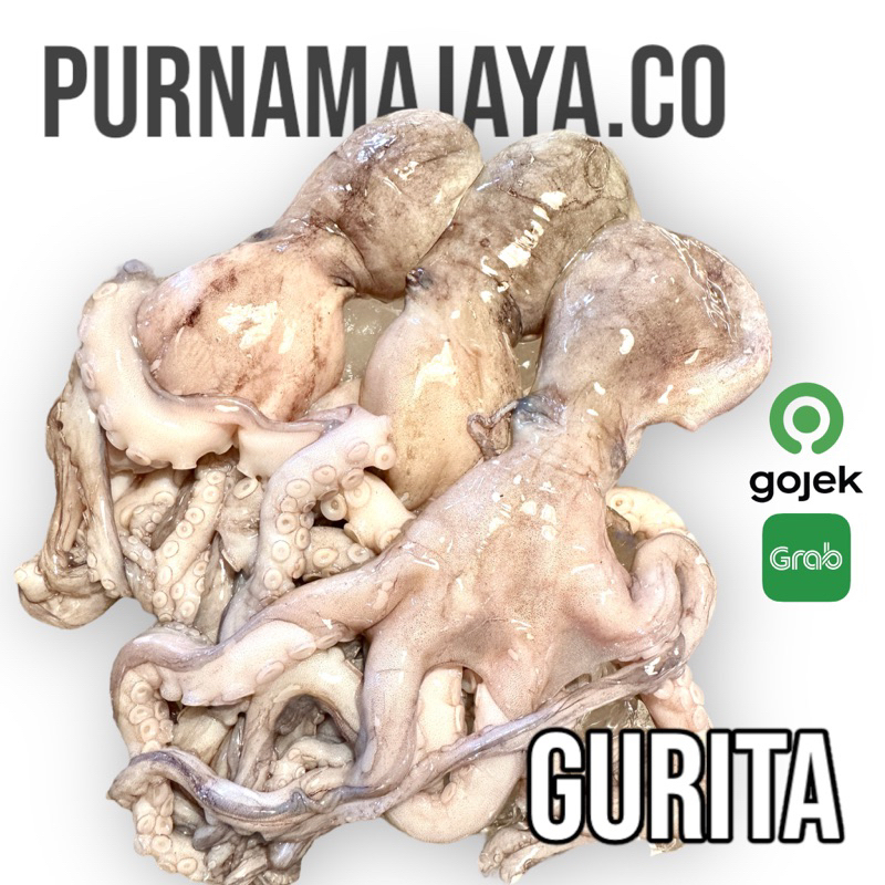 

Gurita / Baby Octopus Fresh