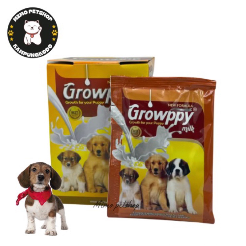 Susu Anjing (anak anjing)