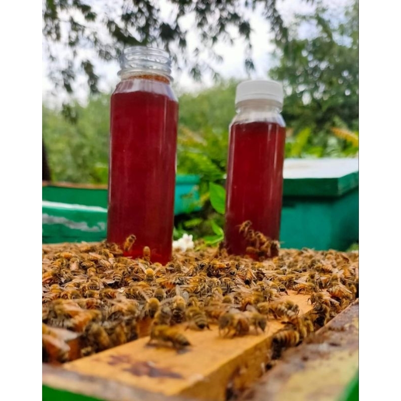 

Madu Multiflora Murah Asli Nektar bunga Raw Honey