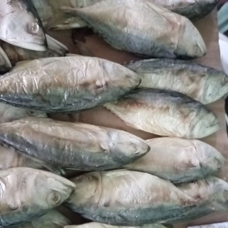 

ikan gembung asin