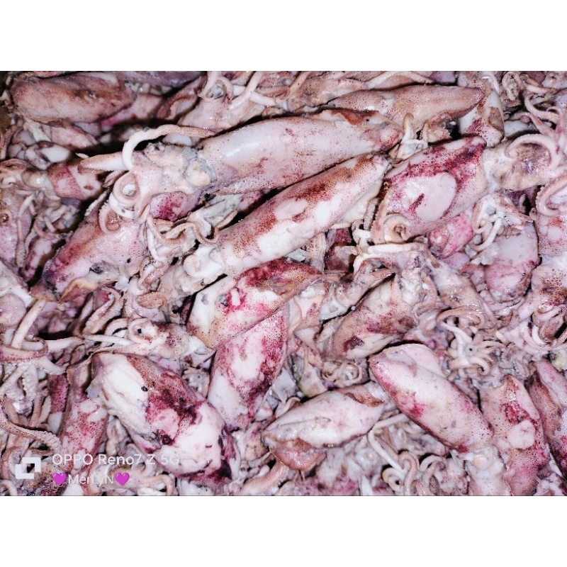 

cumi asin murah 250gram