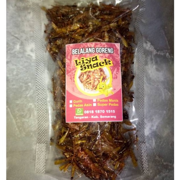 

Ready Belalang Goreng Kecil Super Ekonomis 54