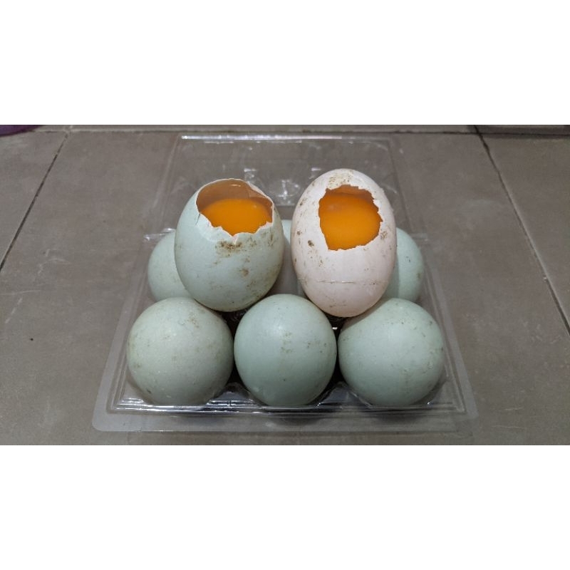 

Telur Bebek Omega Isi 6 Butir