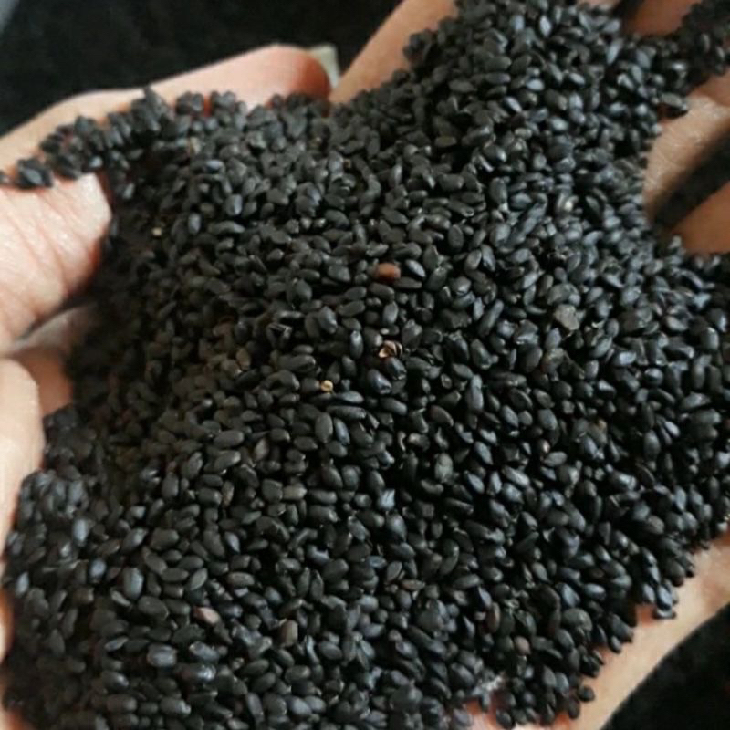 

Biji Selasih Telasih 1 kg