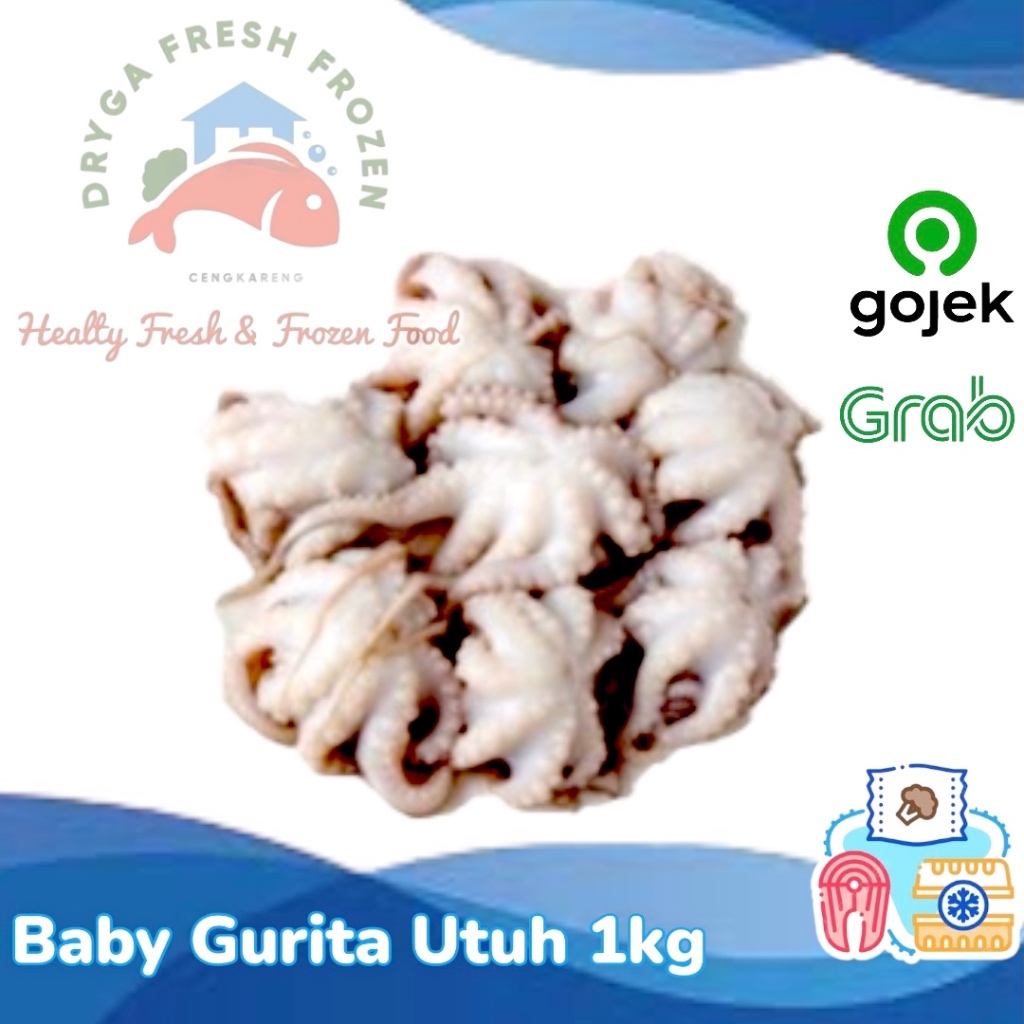 

Baby Octopus Baby Gurita Tako Utuh 1kg