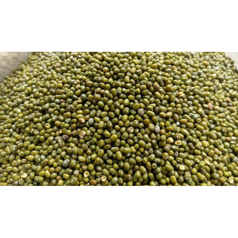 

kacang hijau 1kg