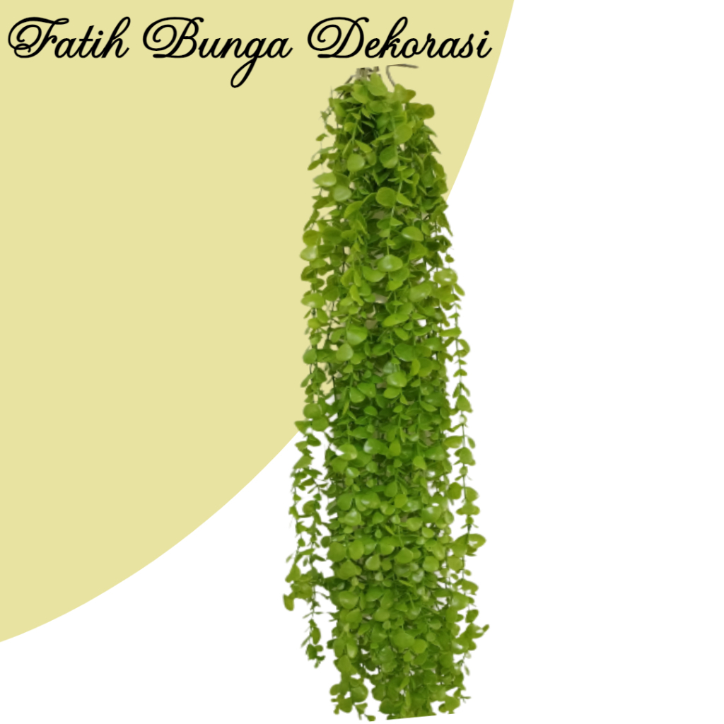 Juntai Daun Dolar/Tanaman Hias Daun Dolar/ Dekorasi Rumah Daun Dolar/satu lusin