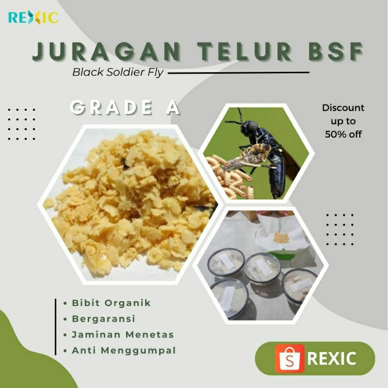 [REXIC] Telur Maggot BSF per gram
