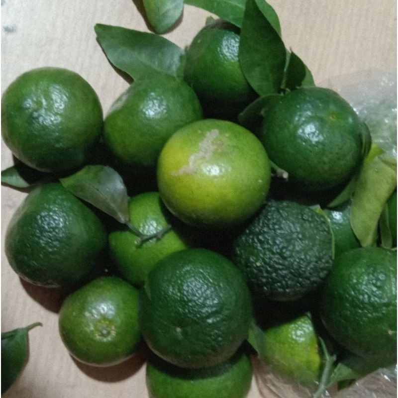 

JERUK SHANTANG MADU/500gr