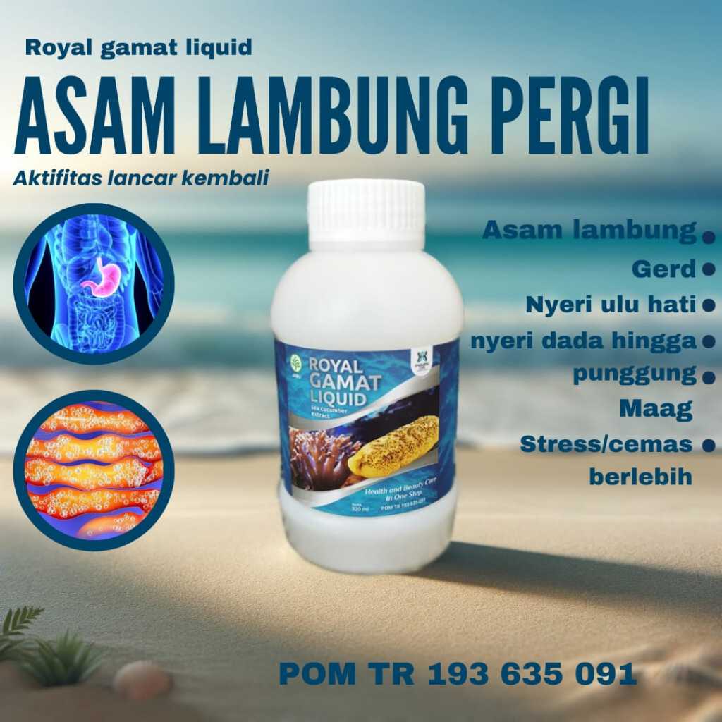 Royal gamat liquid . gamat emas asli . jelly gamat emas