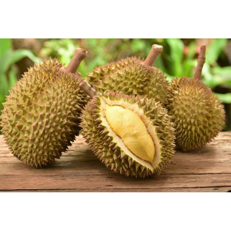 

durian per 1buah besar