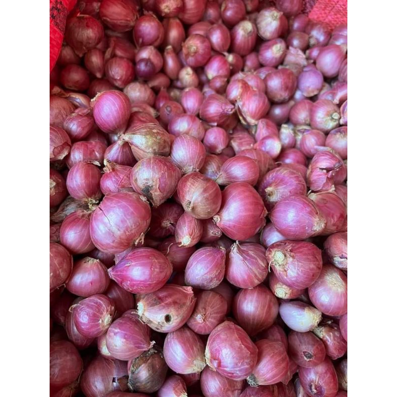 Bawang Merah 1kg MURAH Bima/Brebes/ besar