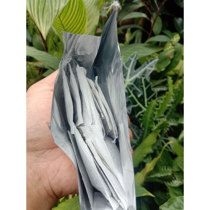 

kemasan teh celup tanpa merk daun jati cina/voil teh celup