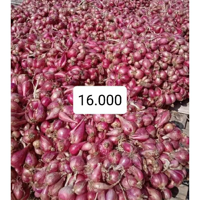 

bawang merah