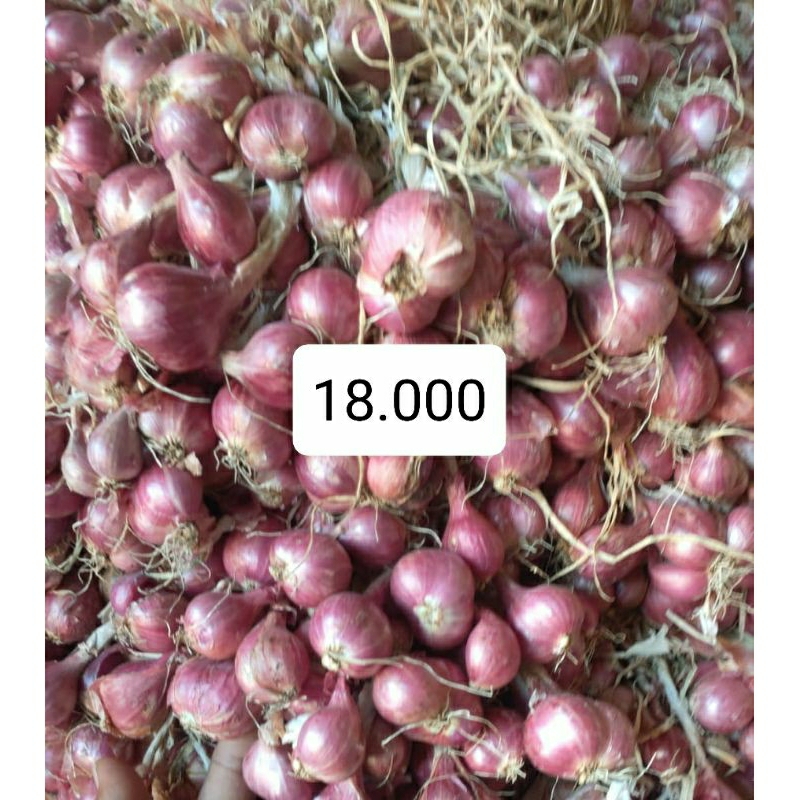 

Bawang merah super standart