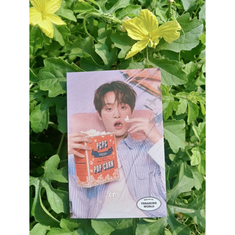 Pc Jihoon Treasure World