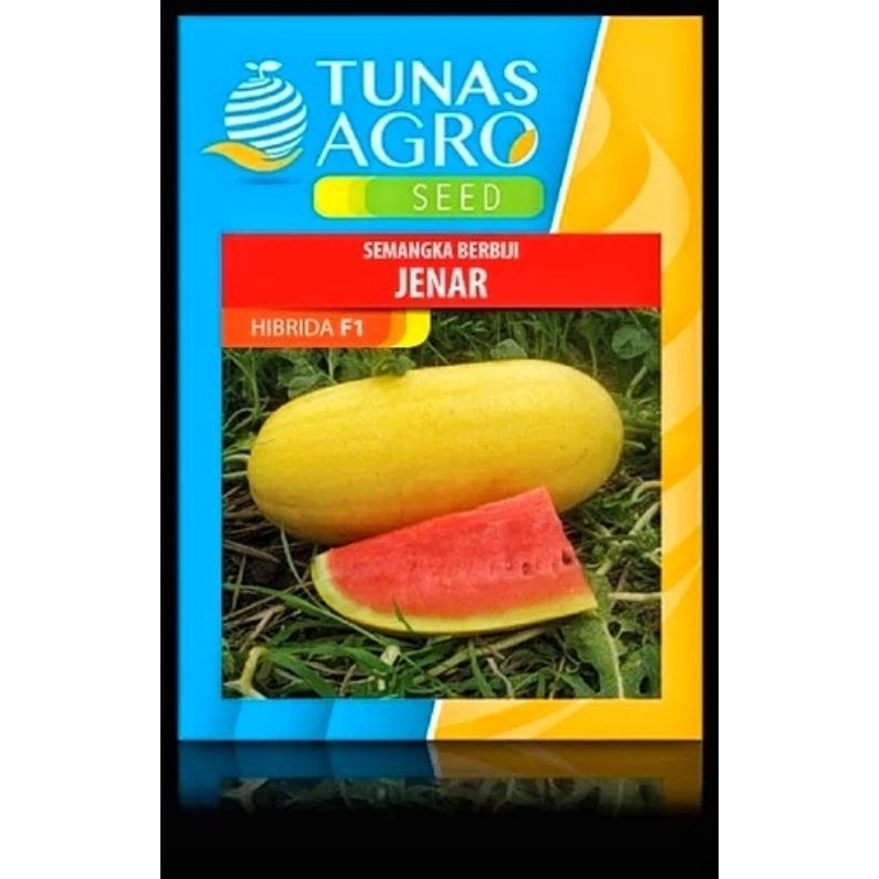 Benih Semangka Inul Kulit Kuning Daging Merah - Bibit Semangka JENAR F1 10 gram - Hybrida Seed Tunas