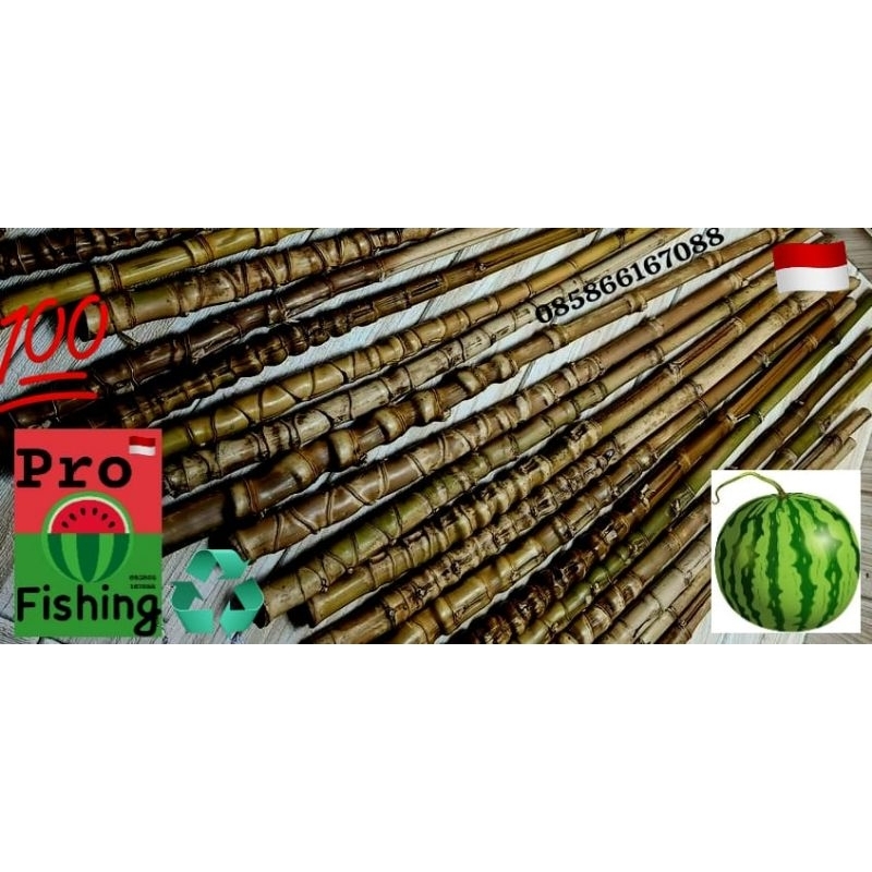 Bambu tongkat cendani