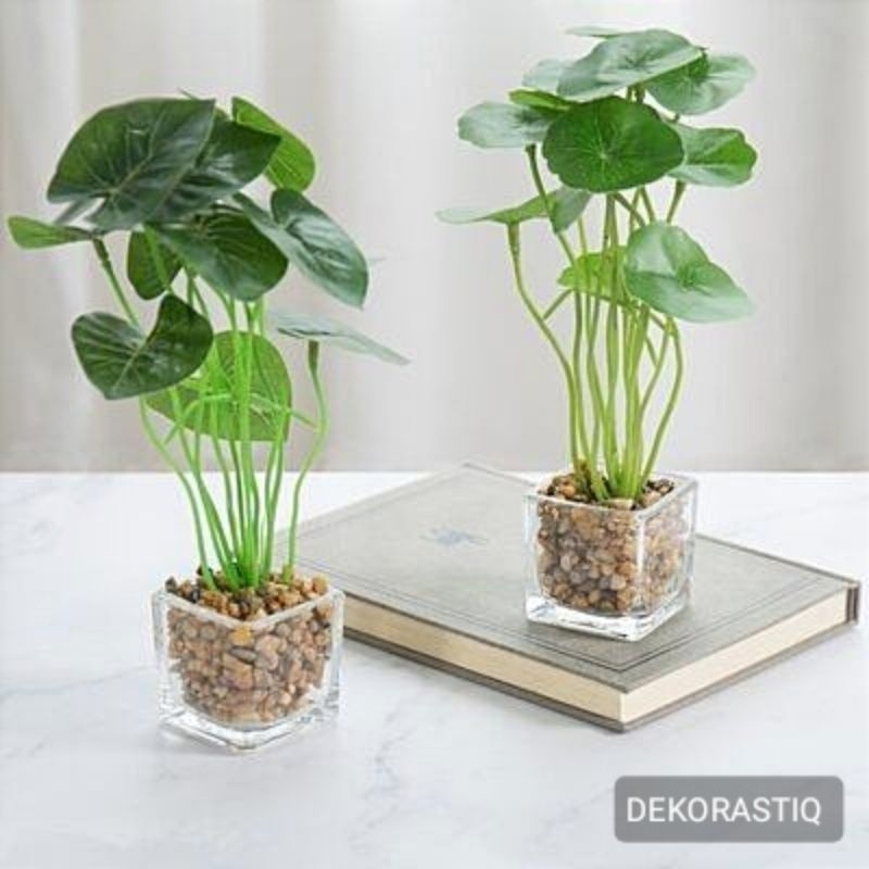 1 Set vas kaca tanaman air artificial / Hiasan meja kerja aesthetic / Pajangan dekorasi kamar rumah