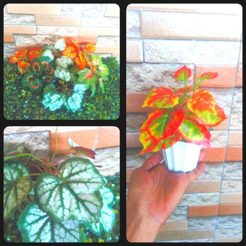 Begonia keladi mini caladium bunga hias artificial imitasi palsu plastik