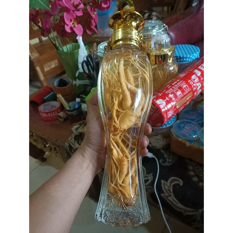 

gingseng merah korea lengkap plus botol 1liter
