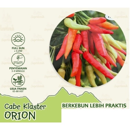 15 BENIH CABE RAWIT ORION SUPER