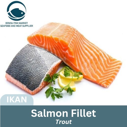 

Ikan Salmon Trout Fillet fish