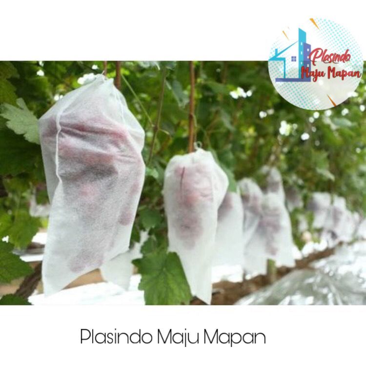 Fruit Cover - Brongsong Buah ( ecer ) / Pembungkus Buah Jeruk, Apel,Mangga, Anggur,Alpukad