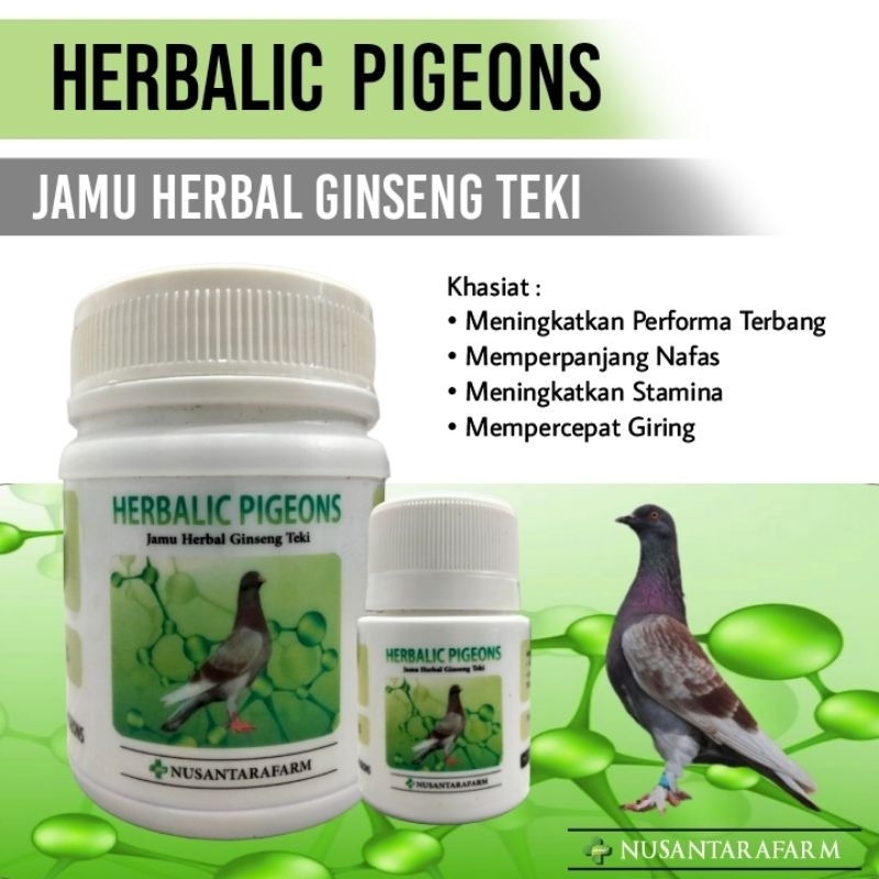 Herbalic pigeons jamu herb ginseng teki khusus merpati jamu merpati herbal ginseng teki