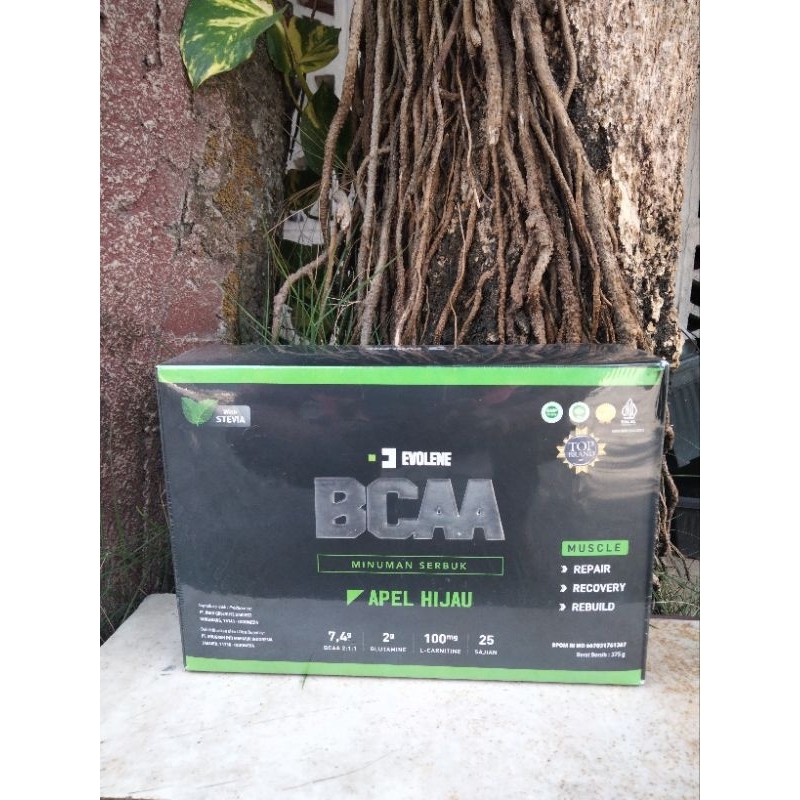 EVOLENE BCAA 25 SACHET HALAL