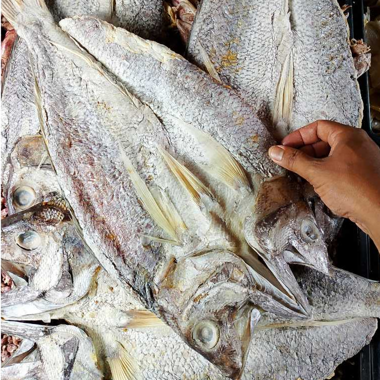 

Ikan asin kakap merah termurah / ikan asin bambangan