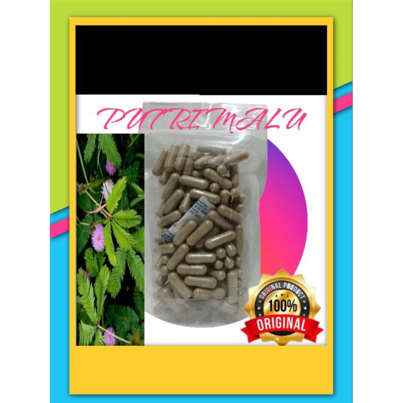 kapsul curah herbal putri malu isi 100