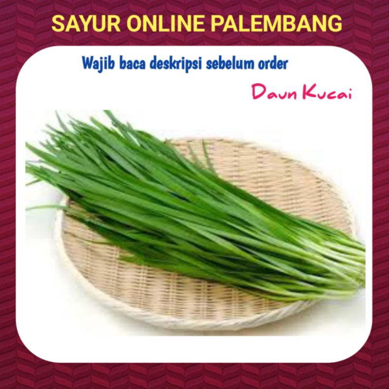 

Daun Kucai Segar Per Ikat - Toko Sayur Sayuran Pasar Segar Pasar Palembang