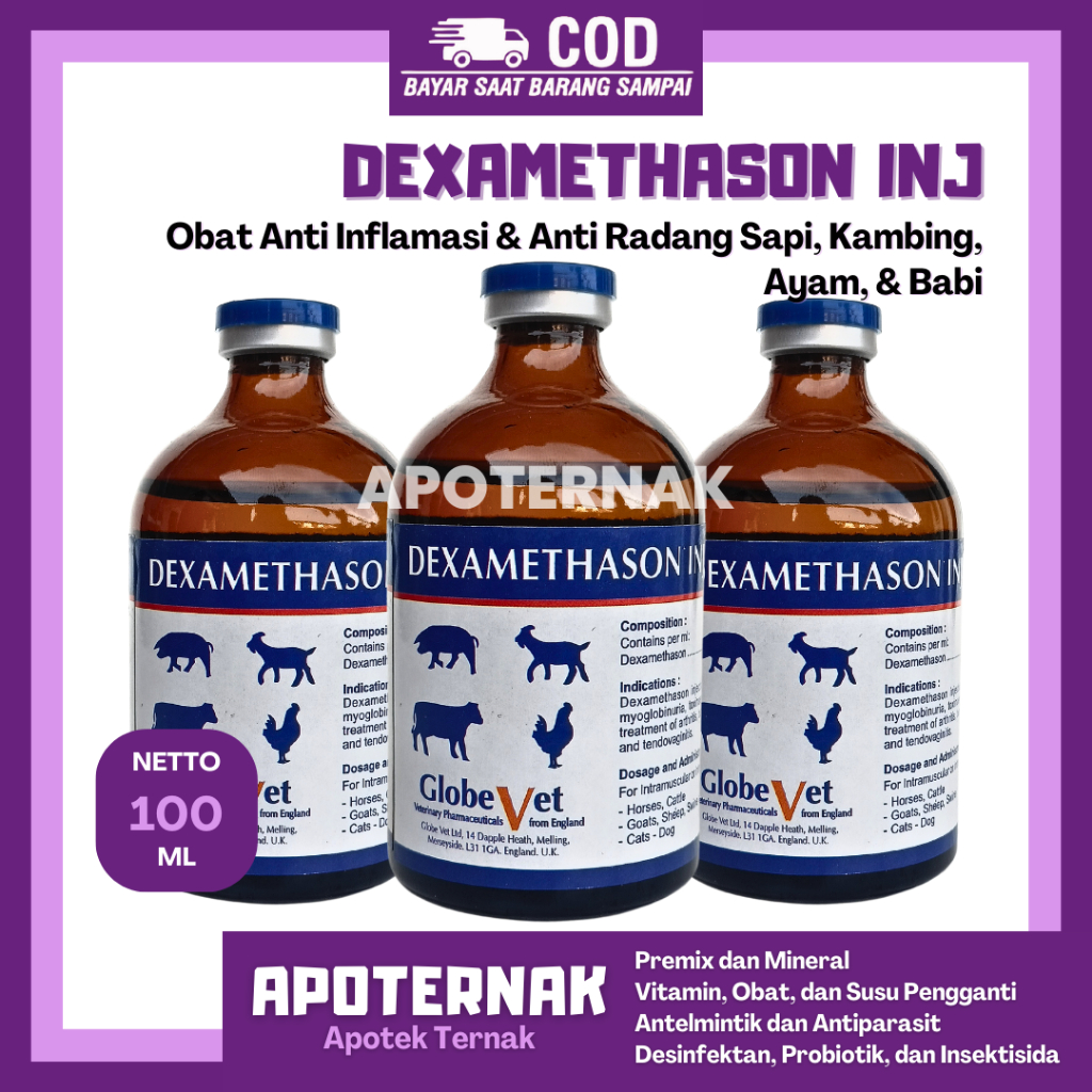 GLOBE VET DEXAMETHASON 100 ml | Obat Analgesik Anti piretik Anti inflamasi | Obat Asetonemia Alergi 