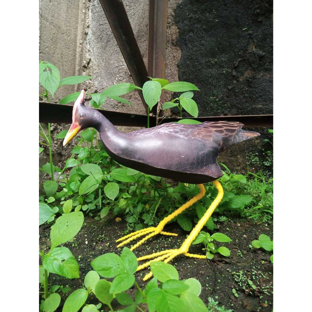 Patung Jontrot ayam-ayaman /Mandar Bontod /Gallicrex cinerea