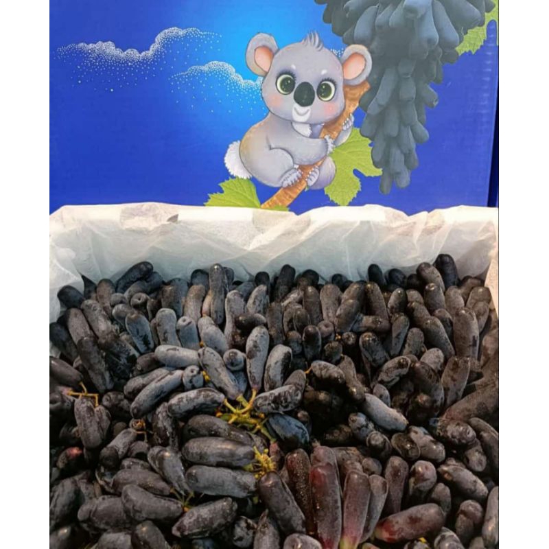 

Anggur Moondrop Curah 250g-500g