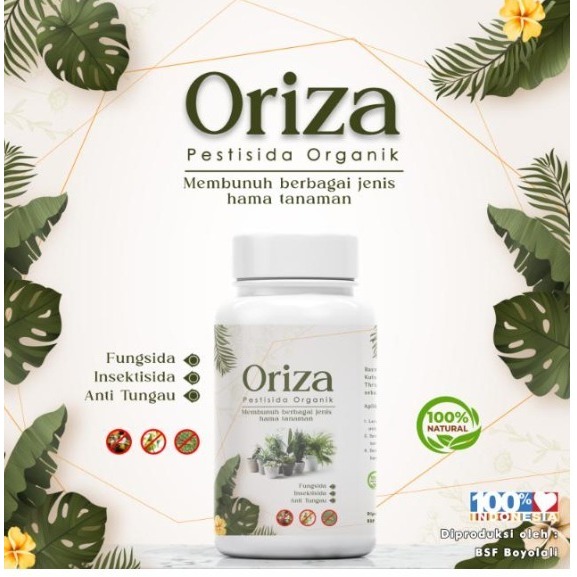 ALFAGREEN - 𝗣𝗲𝘀𝘁𝗶𝘀𝗶𝗱𝗮 𝗡𝗮𝗯𝗮𝘁𝗶 𝗢𝗿𝗴𝗮𝗻𝗶𝗸  𝘂𝗻𝘁𝘂𝗸 𝗦𝗲𝗺𝘂𝗮 𝗛𝗮𝗺𝗮 𝗧𝗮𝗻𝗮𝗺𝗮𝗻| Pupuk Organik Cabai anti daun kuning