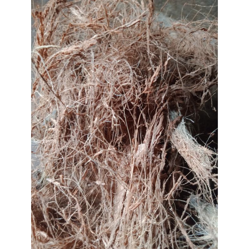 sabut kelapa/tapas kelapa/1kg