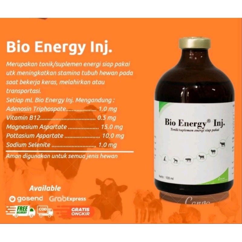 Cairan Injeksi Vitamin ATP 100 ml Penambah Stamina untuk Sapi Kambing Babi Anjing Kucing dan Hewan T