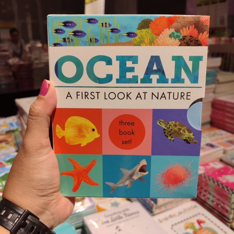 BIG BAD WOLF BOOKS ■ HIDDEN WORLD : OCEAN (THREE BOOK SET) - BUKU ANAK BBW IMPORT