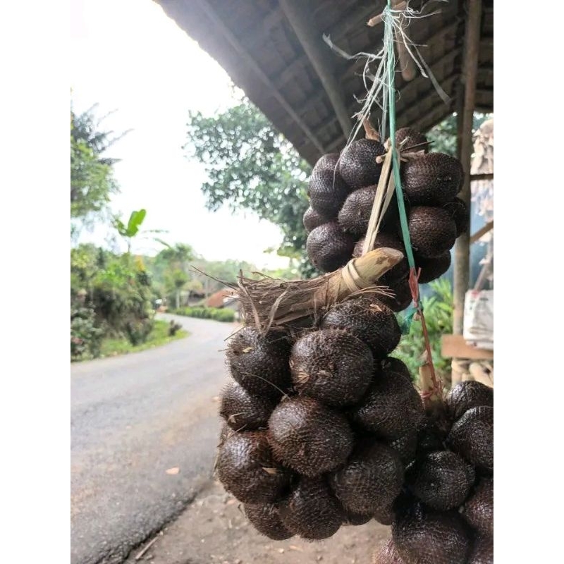 

BUAH SALAK MADU MANIS LEGIT HARGA/1Kg