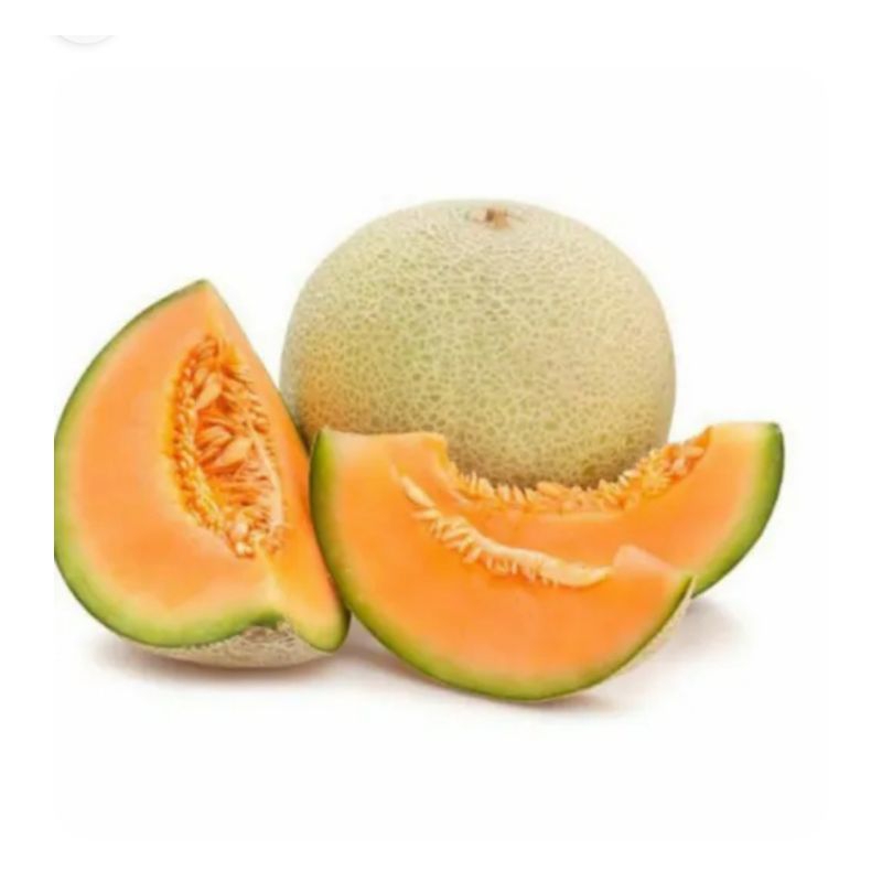 

melon orange segar sekitar 2 kg