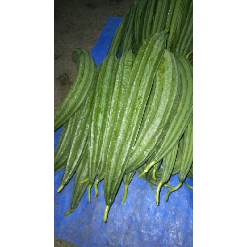 

sayur oyong500gr