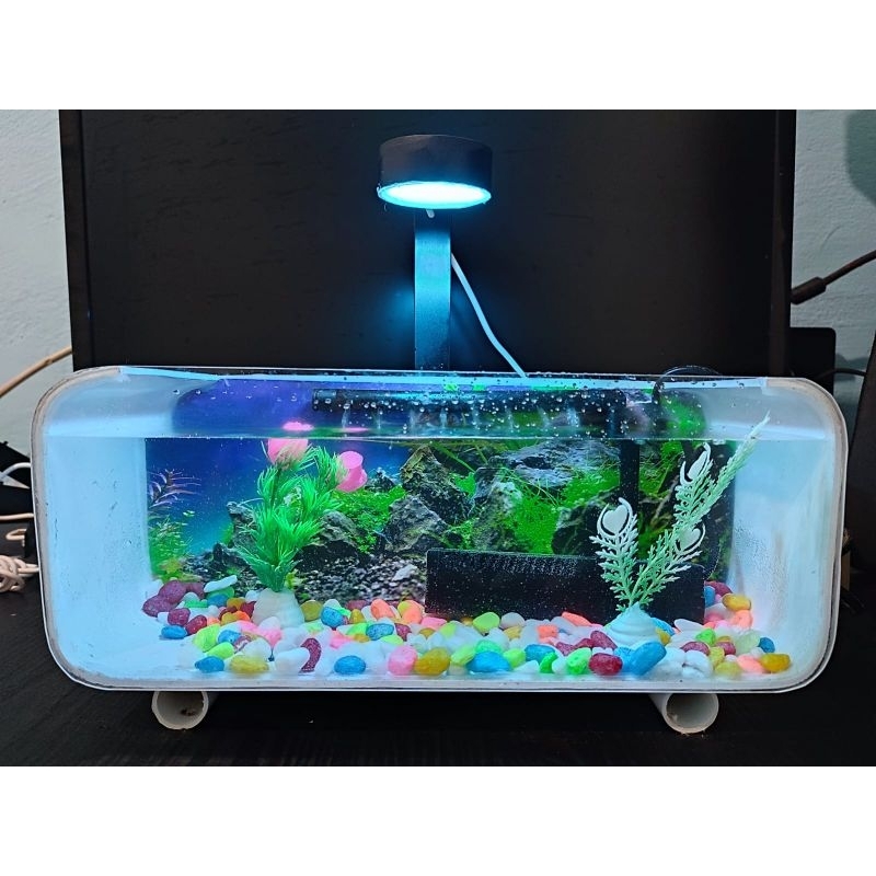 AQUARIUM AKRILIK FULL SETT/AKUARIUM PVC MINIMALIS/AKUARIUM AESTETIC